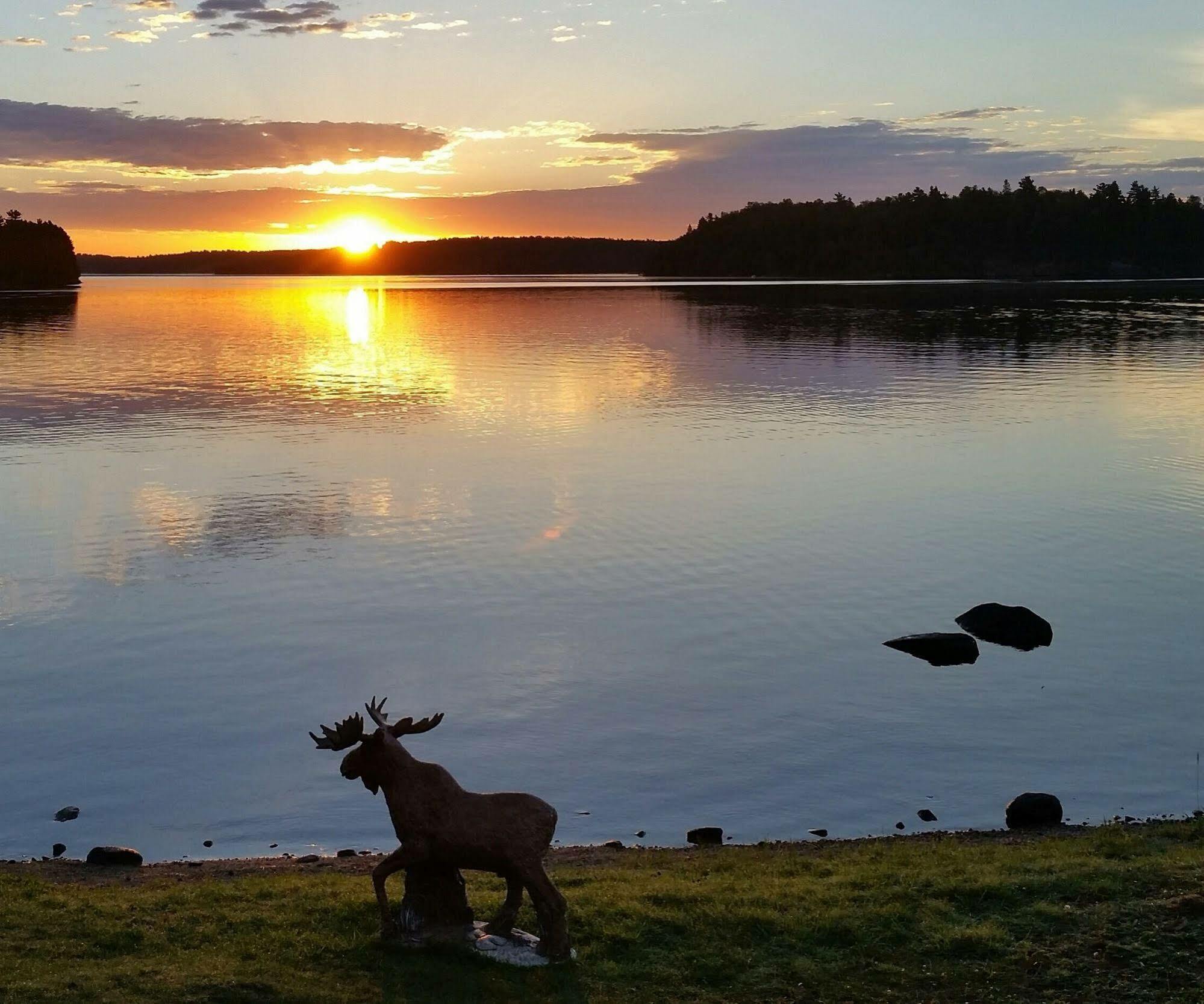 Pine Point Lodge Resort & Motel Crane Lake Eksteriør billede